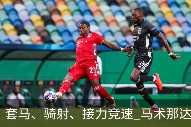 套马、骑射、接力竞速 马术那达慕让游客过足“马背瘾”-国际在线